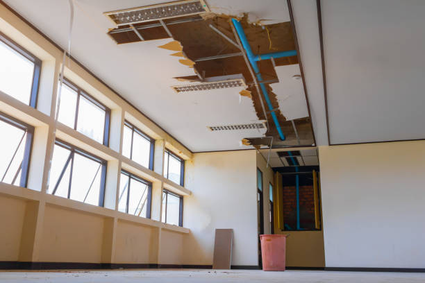 Best Residential water damage restoration  in Lyons, KS