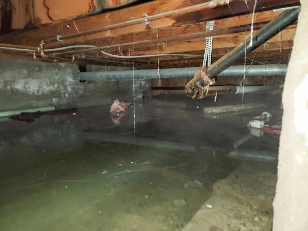Best Water damage restoration mold remediation  in Lyons, KS