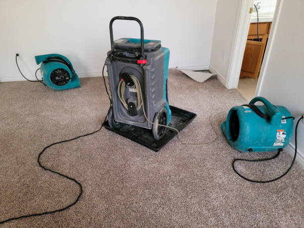 Best Flood restoration services  in Lyons, KS