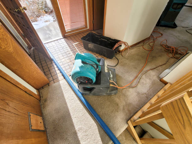 Best Emergency water damage restoration  in Lyons, KS