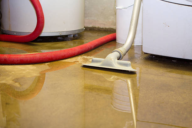Best Water damage cleanup near me  in Lyons, KS
