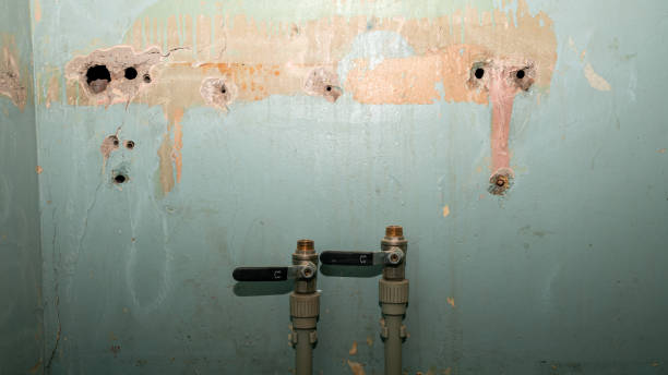 Best Basement water damage restoration  in Lyons, KS