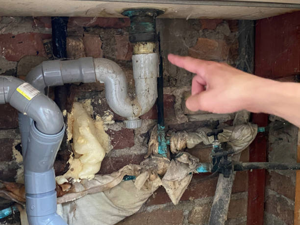 Best Flooded house restoration  in Lyons, KS