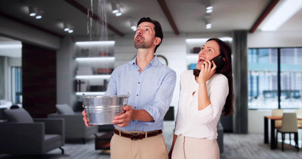 Best Professional water damage repair  in Lyons, KS