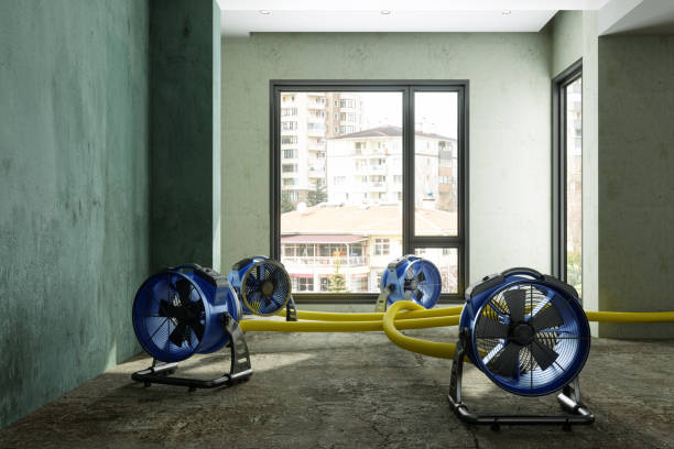 Best Fire Damage Restoration  in Lyons, KS